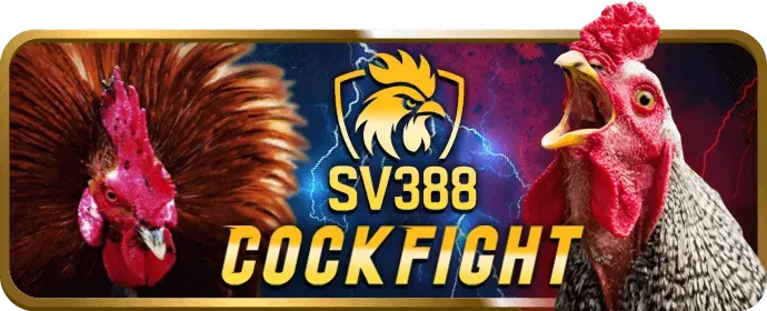 Chương trình VIP và ưu đãi đặc biệt trên ứng dụng ok8386 chính thức